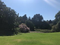 -墨尔本皇家植物园