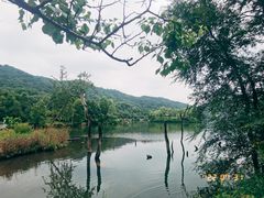 -玉渡山自然风景区