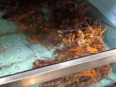 -新农都水产市场