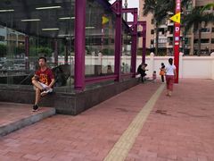 -虾饺妹·酒家(金碧店)