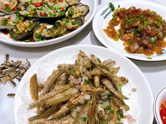 -全乐鱼馆·淳牌有机鱼直营店