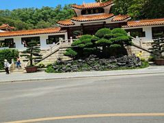 -深圳仙湖植物园