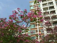 -华南师范大学(广州大学城校区)