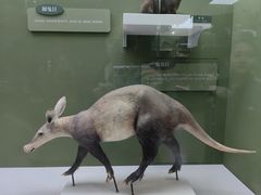 -国家自然博物馆