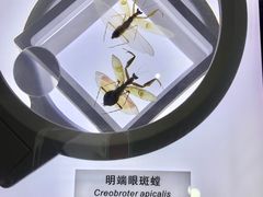 -上海昆虫博物馆