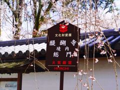-醍醐寺