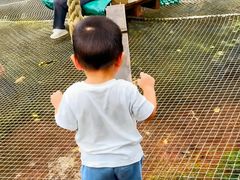 -芦仙山景区-飞越丛林探险乐园