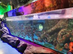 -梦幻海洋王国(吾悦广场张家港店)