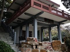 -上海市保健医疗中心