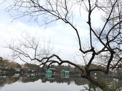 -西湖游船
