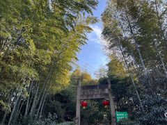 -紫金山山顶公园