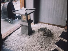 -春熙台韩国料理·章鱼肥牛(西丽店)