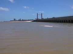 -北海金海湾红树林生态旅游区