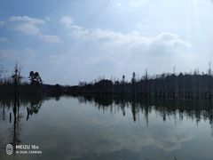 -白鹭湾湿地公园