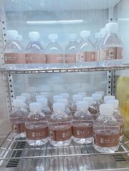 -和颜一美轻医美连锁