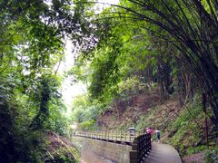 -凤栖山