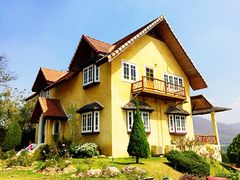 -黄色小屋