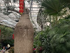 -国家植物园南园