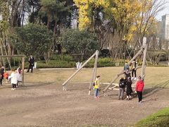 -铁山坪森林公园