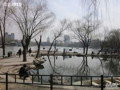 -紫竹院公园冰场