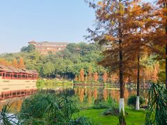 -重庆彩云湖湿地公园