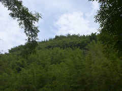 -四洞沟景区