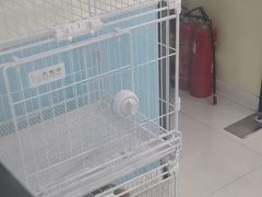 -天宠宠物医院24小时·急重症诊疗中心·全科·腔镜特色(和平分院)