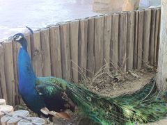 -石家庄市动物园