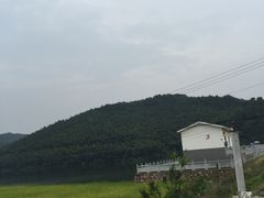 -南京维景国际大酒店(南京博物院店)