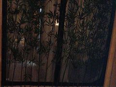 -星河湾温泉洗浴酒店