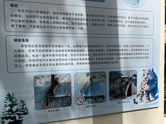 -青藏高原野生动物园