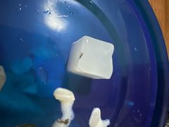 -严氏皓杰水牛奶(温岭店)