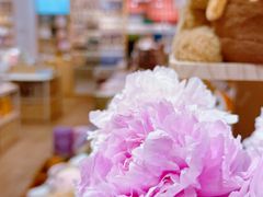 -猫的天空之城概念书店(大学路店)