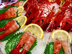 牡丹虾刺身-开海·红岛海鲜虾水饺(石老人店)