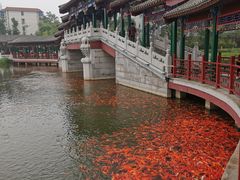 -西海子公园