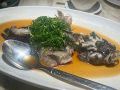 金银深海龙趸鱼-陶陶居酒家(SM二期购物广场店)