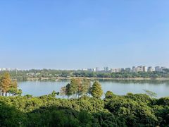 -东莞松山湖凯悦酒店