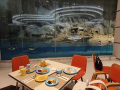 -帝企鹅自助餐厅•儿童岛•真企鹅(长隆企鹅酒店)