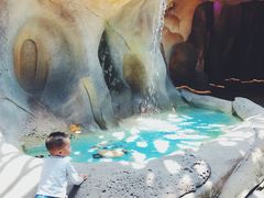 -杭州开元森泊度假乐园