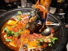 黄晓猫剁椒鱼头-黄晓猫剁椒大鱼头(海岸城店)