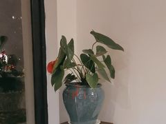 -荷风细雨·中国茶宴(碧云店)