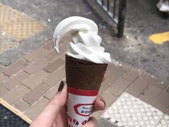 -富豪雪糕车流动点(尖沙咀店)