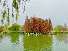 -玄武湖景区-情侣园游乐场