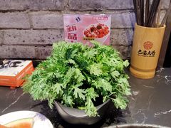 -巴蜀大将火锅(春熙店)