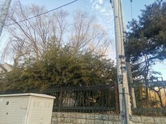 -玲珑塔公园