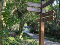 -南宁良凤江国家森林公园