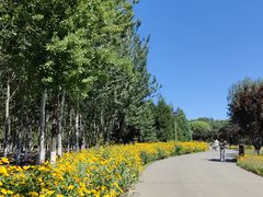 -永定河休闲森林公园