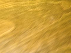 -一坐一忘云南菜(卓悦中心)