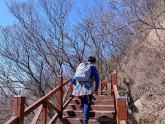 -大岭沟猕猴桃谷风景区