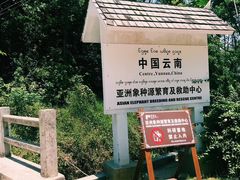 -野象谷景区